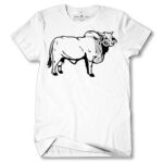 Men's Tshirt Thumbnail