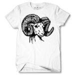 Men's Tshirt Thumbnail