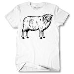 Men's Tshirt Thumbnail