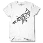 Men's Tshirt Thumbnail