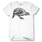 Men's Tshirt Thumbnail